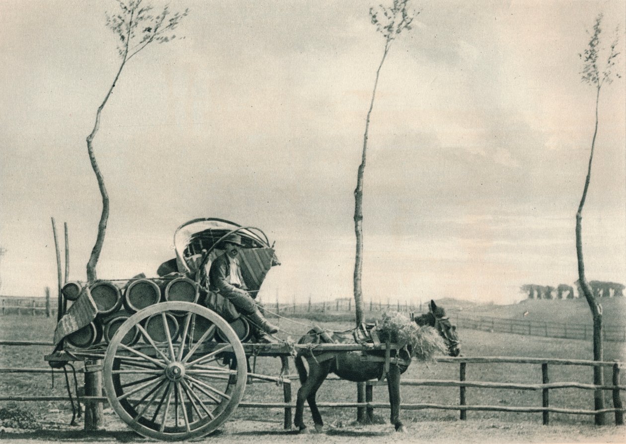 Nosiciel wina w Kampanii, Rzym, Włochy, 1927 autorstwa Eugen Poppel