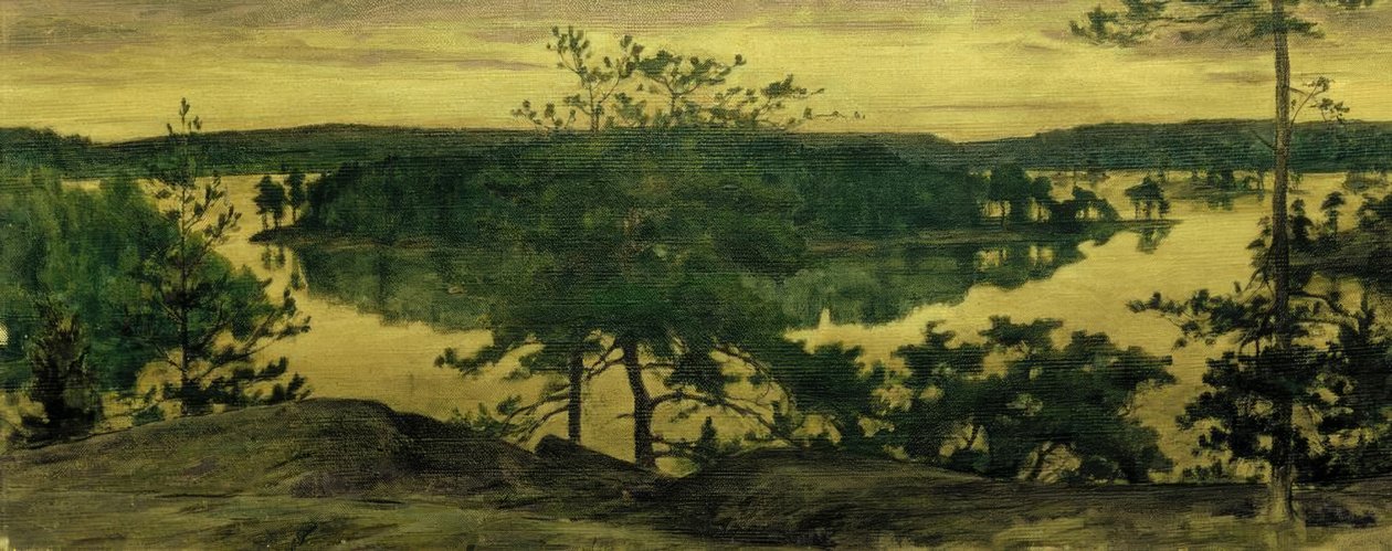 Jasna noc autorstwa Eugen Prinz von Schweden