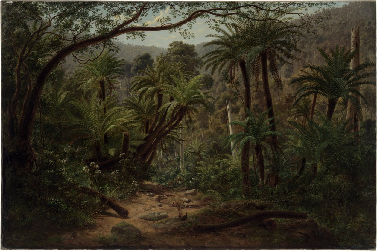 Ferntree Gully w pasmach Dandenong autorstwa Eugene von Guérard