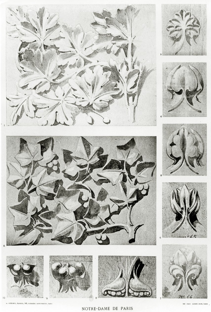 Detale architektoniczne do renowacji Notre Dame autorstwa Eugene Emmanuel Viollet le Duc