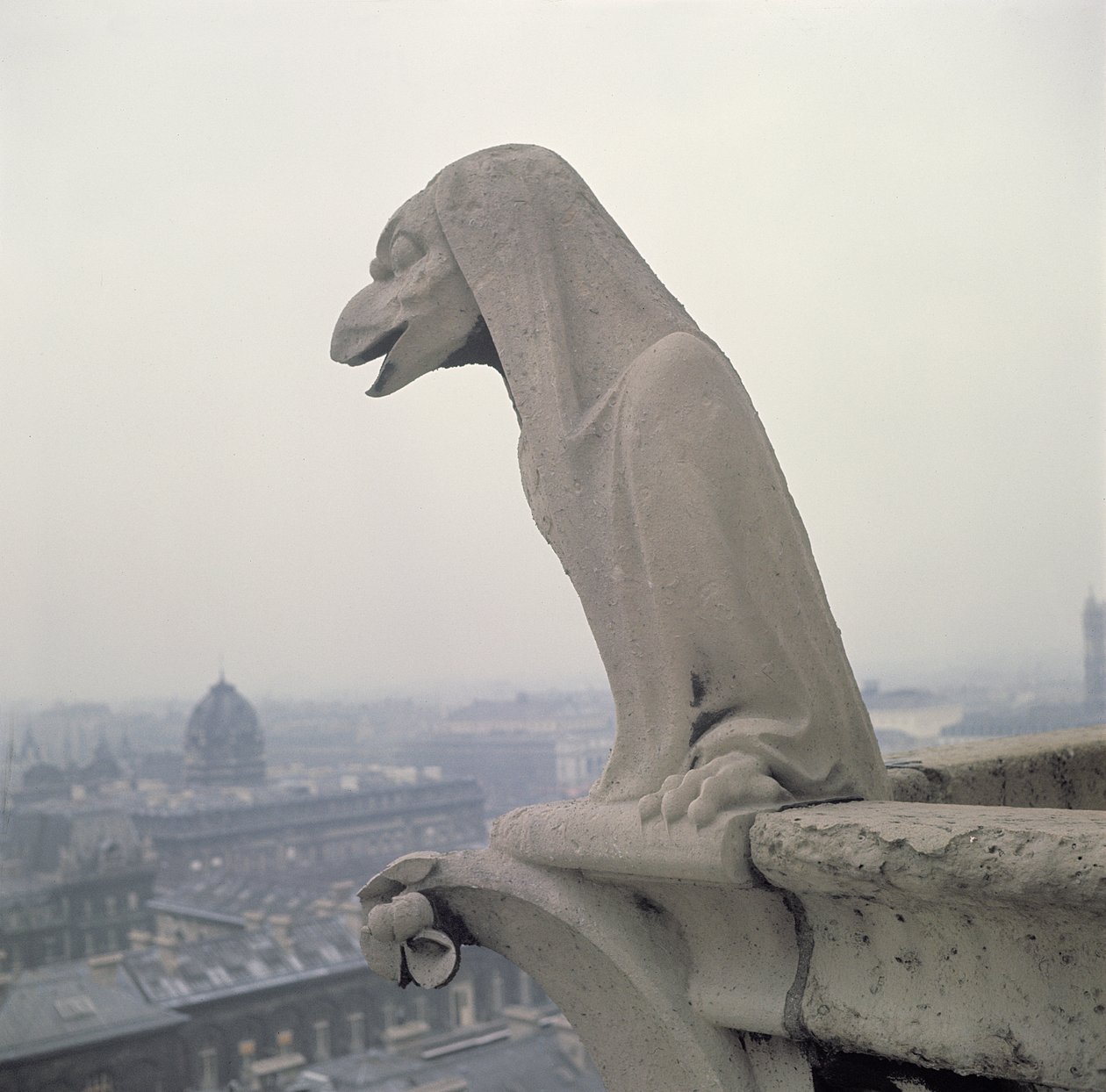 Gargulec na balustradzie Grande Galerie, replika oryginału z XII wieku autorstwa Eugene Emmanuel Viollet le Duc