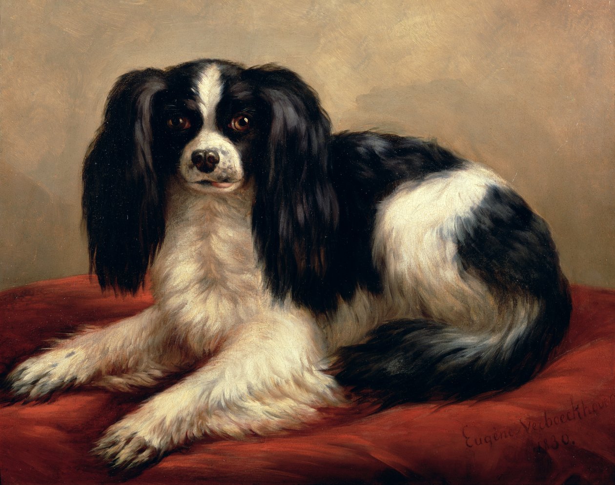 King Charles Spaniel siedzący na czerwonej poduszce autorstwa Eugene Joseph Verboeckhoven