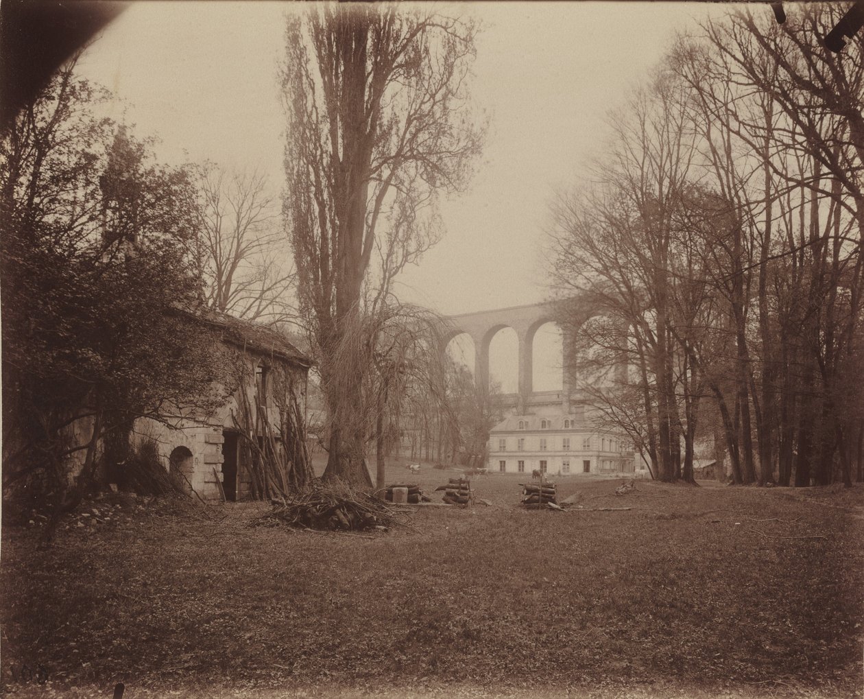 Arcueil-Cachan, park Madame de Provigny autorstwa Eugène Atget
