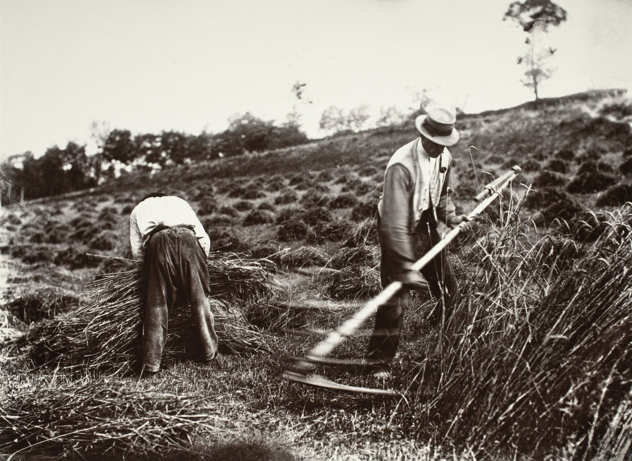 Faucheurs, Somme autorstwa Eugène Atget
