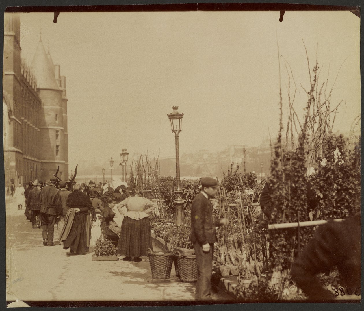[Targ kwiatowy] autorstwa Eugène Atget