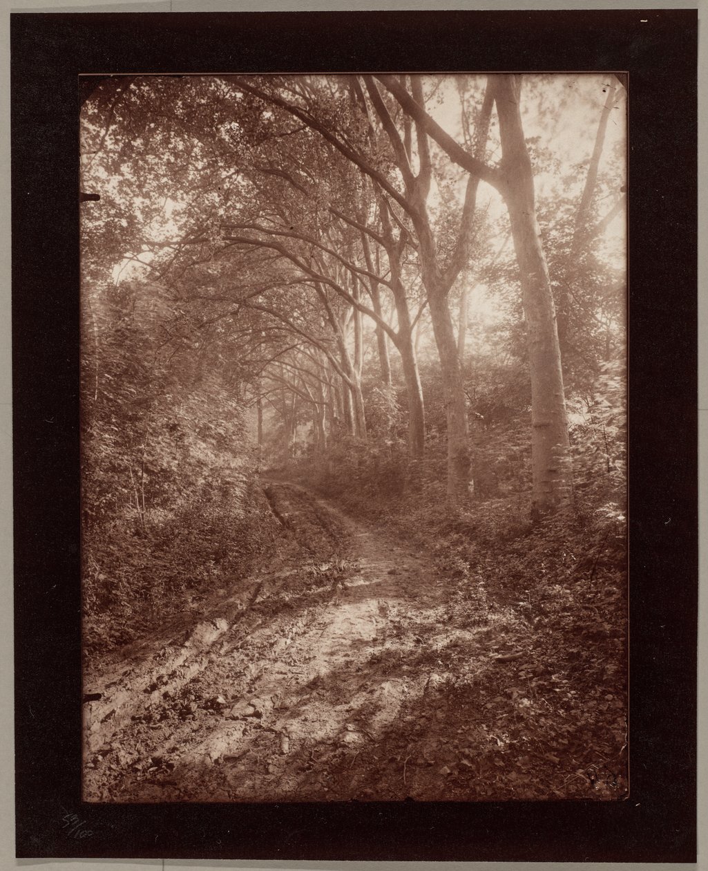 Park w Sceaux autorstwa Eugène Atget