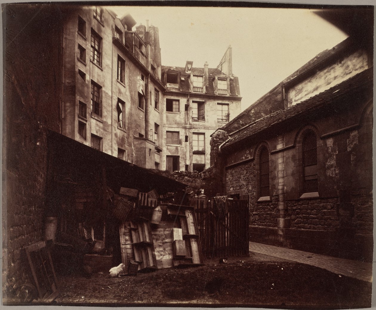 Zakątek dziedzińca, Saint-Julien-le-Pauvre, Paryż autorstwa Eugène Atget