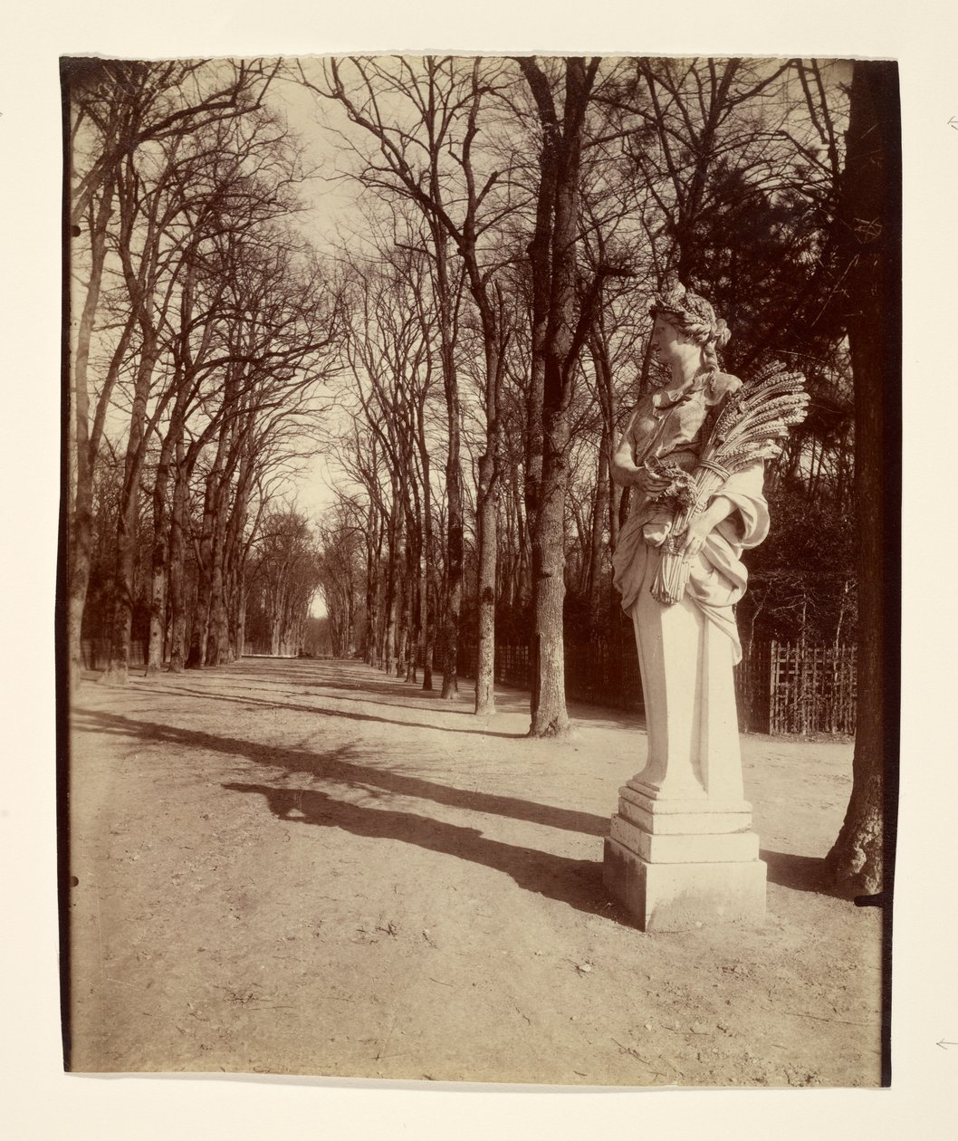 Park w Wersalu autorstwa Eugène Atget