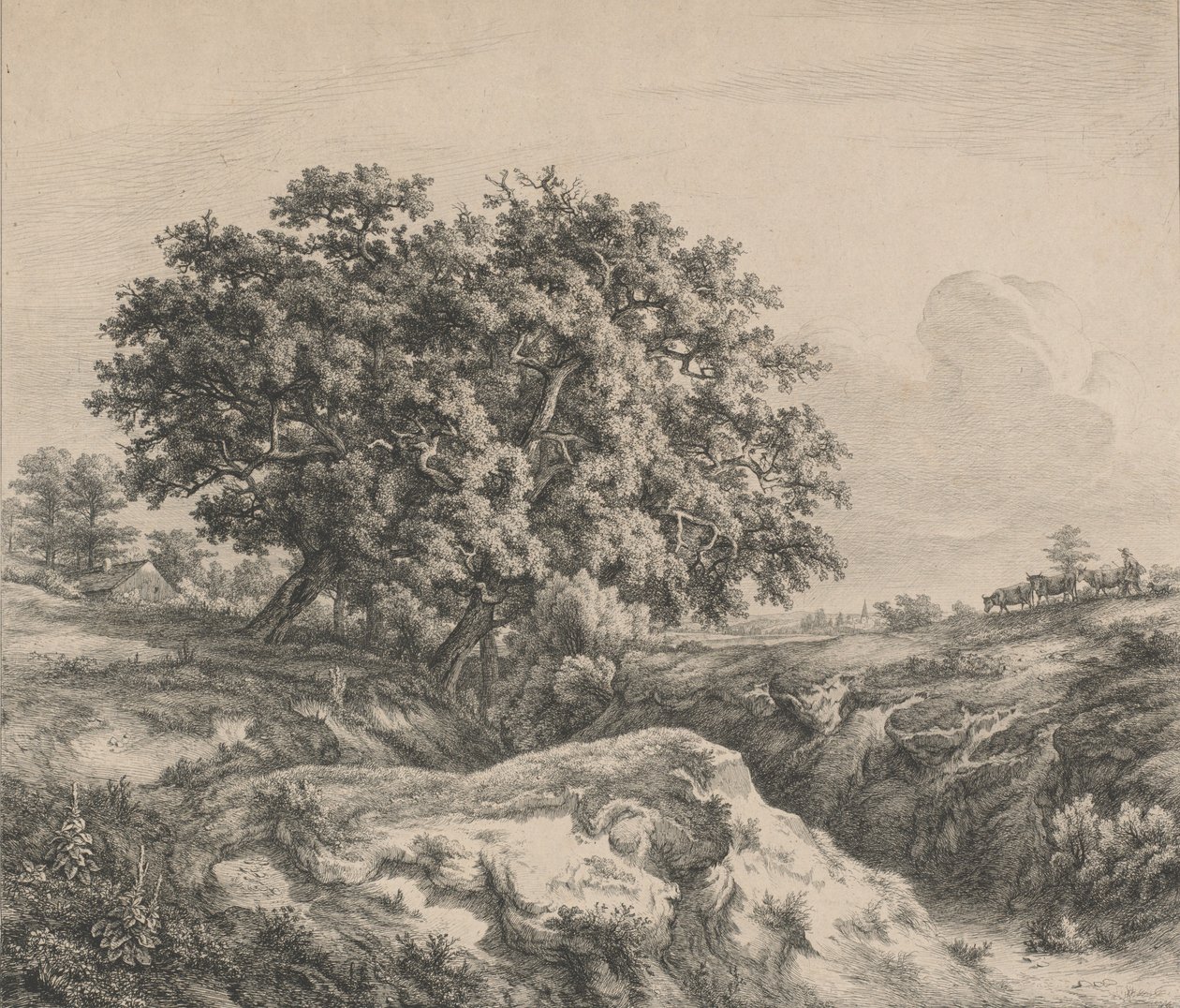 Dąb nad wąwozem, 1845. autorstwa Eugene Bléry