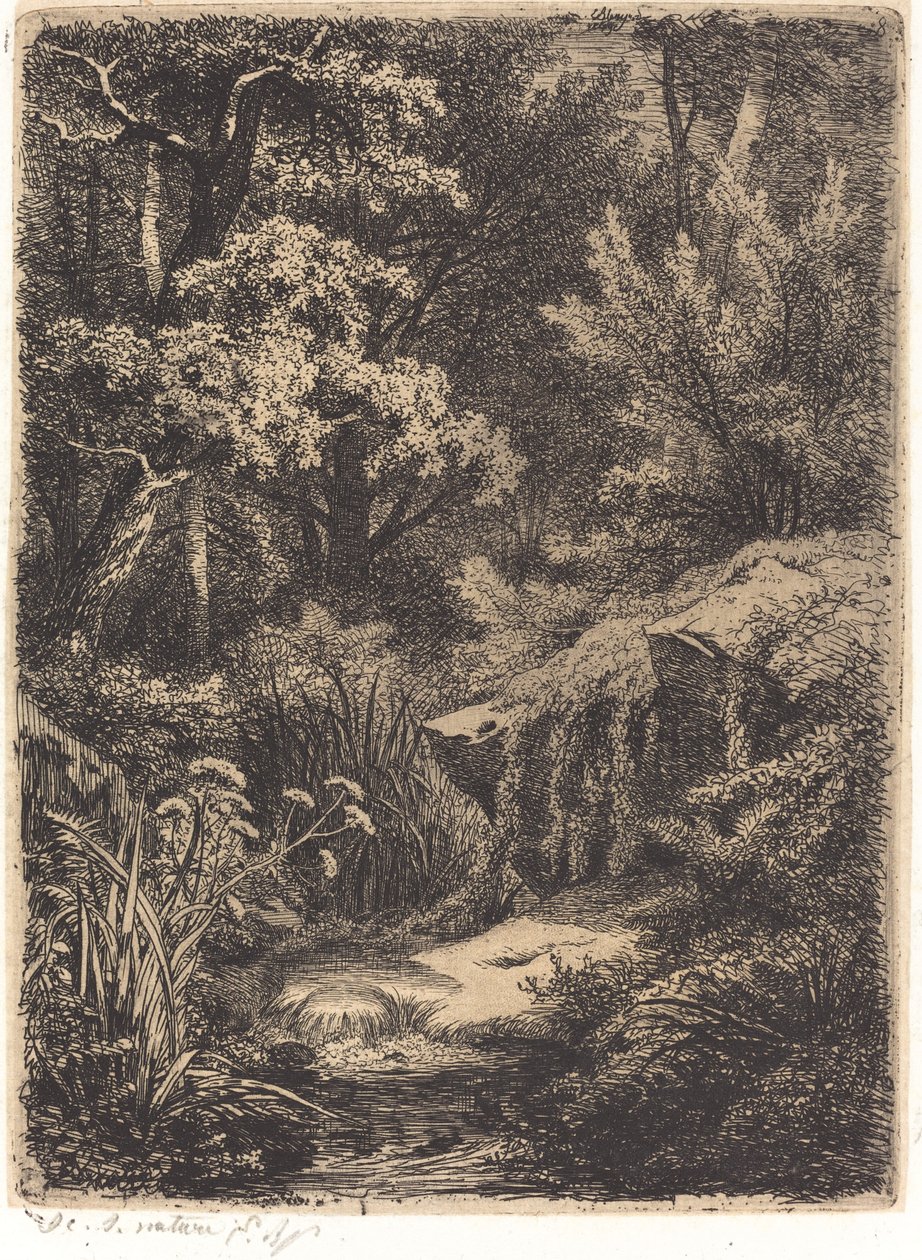 Le petit ruisseau (Mały strumyk) autorstwa Eugene Bléry