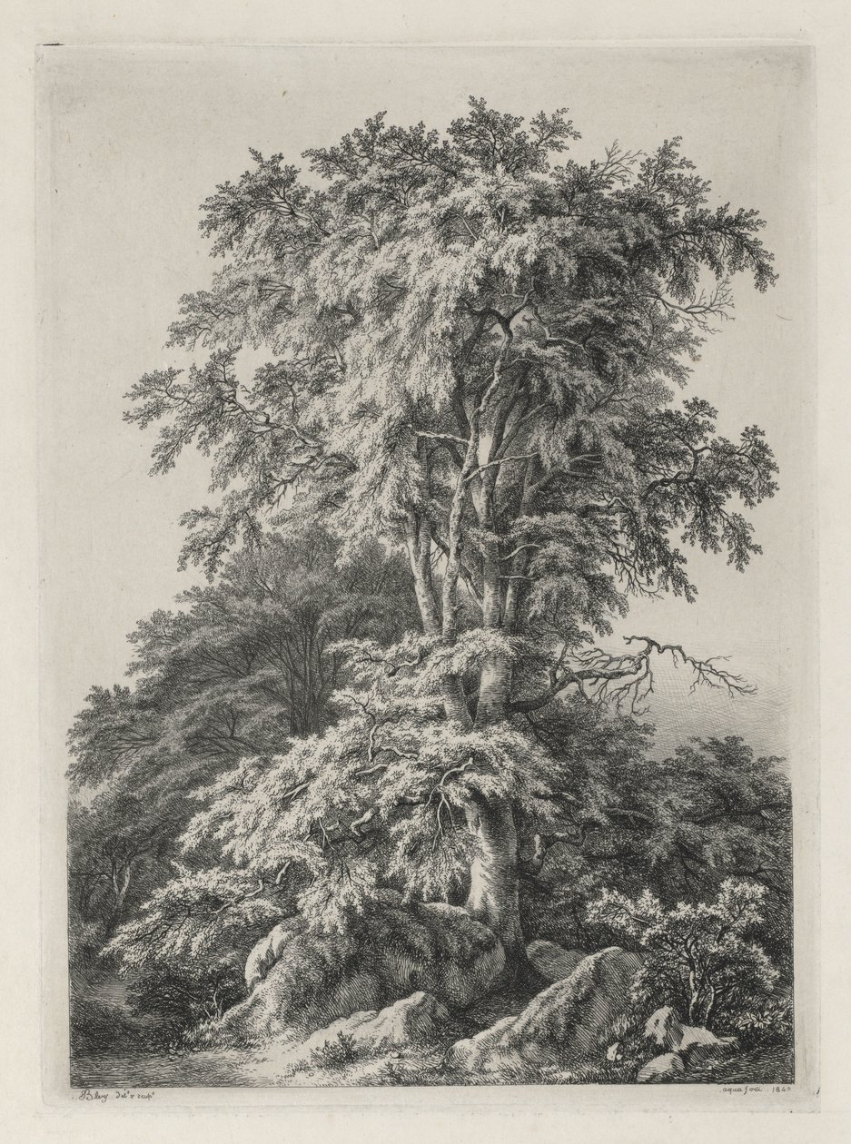 Studia rysowane i grawerowane według natury: plaża, Fontainbleau..., 1840. autorstwa Eugene Bléry