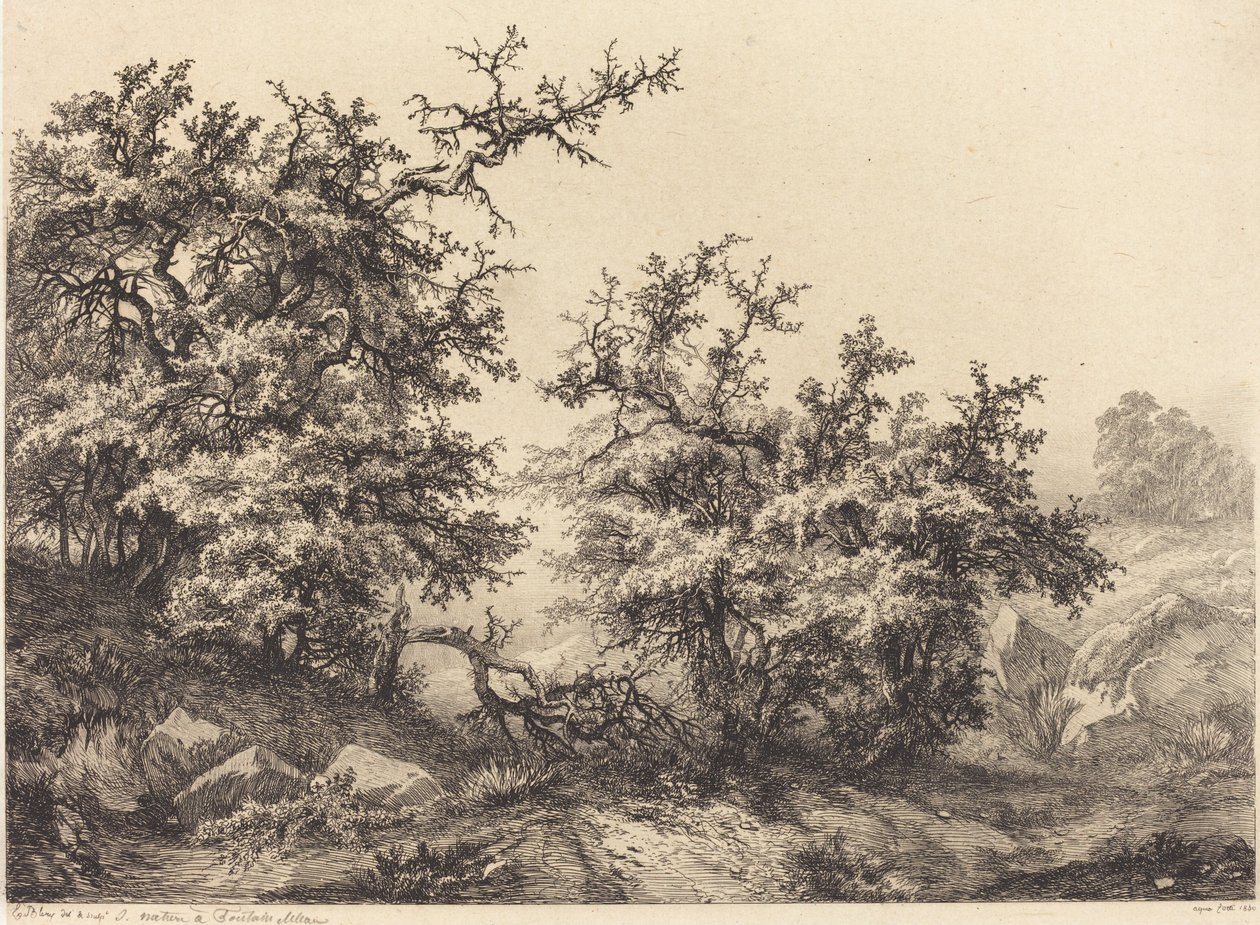 Cierniste krzewy, 1840 r. autorstwa Eugene Bléry