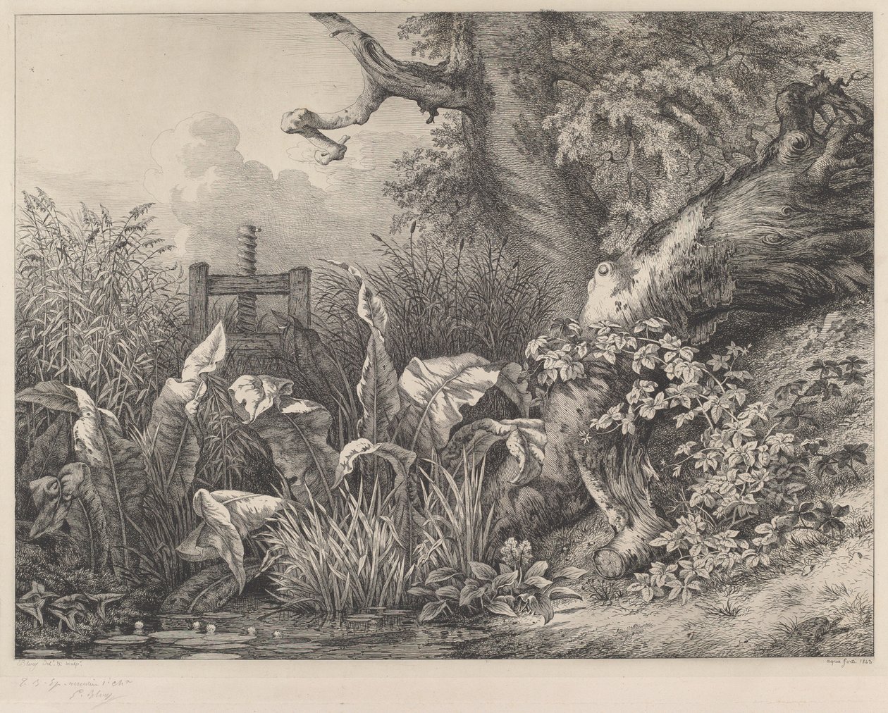 Dok wodny i jeżyny przy śluzie, 1843. autorstwa Eugene Bléry