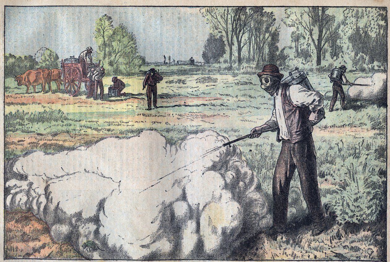 Zniszczenie mulotów (Apodemus) przez gaz duszący w Świcie - rycina Damblansa - le-pelerin z 1923 autorstwa Eugene Damblans