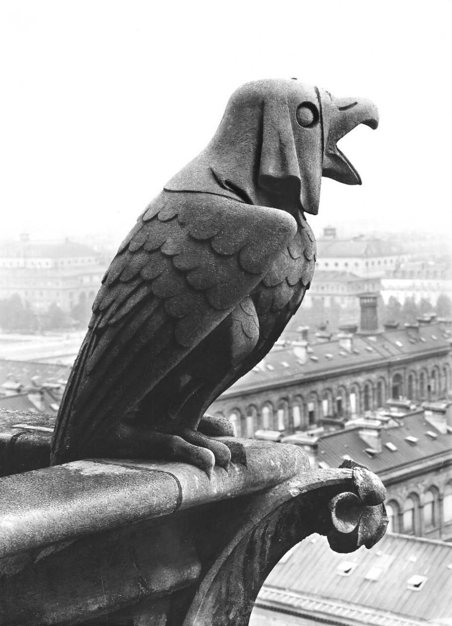 Gargulec z balustrady Grande Galerie fasady zachodniej, replika oryginału z XII wieku (kamień) (zdjęcie czarno-białe) autorstwa Eugene Emmanuel Viollet le Duc