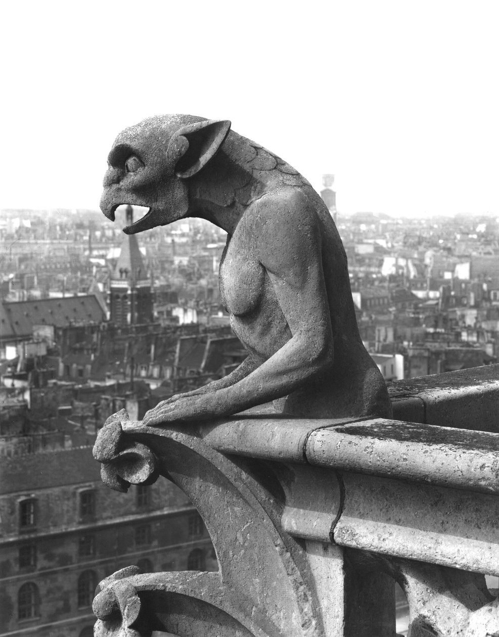 Gargulec z balustrady Grande Galerie fasady zachodniej, replika oryginału z XII wieku (kamień) (zdjęcie czarno-białe) autorstwa Eugene Emmanuel Viollet le Duc