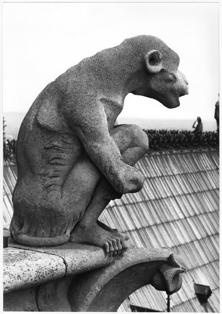 Małpi gargulec, z balustrady Grande Galerie fasady zachodniej, replika oryginału z XII wieku (kamień) (zdjęcie czarno-białe) autorstwa Eugene Emmanuel Viollet le Duc