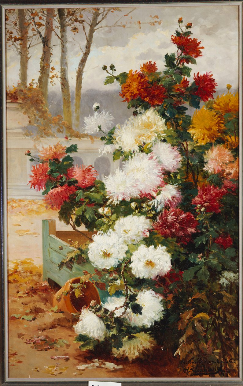 Chryzantemy w otoczonym murem ogrodzie autorstwa Eugene Henri Cauchois