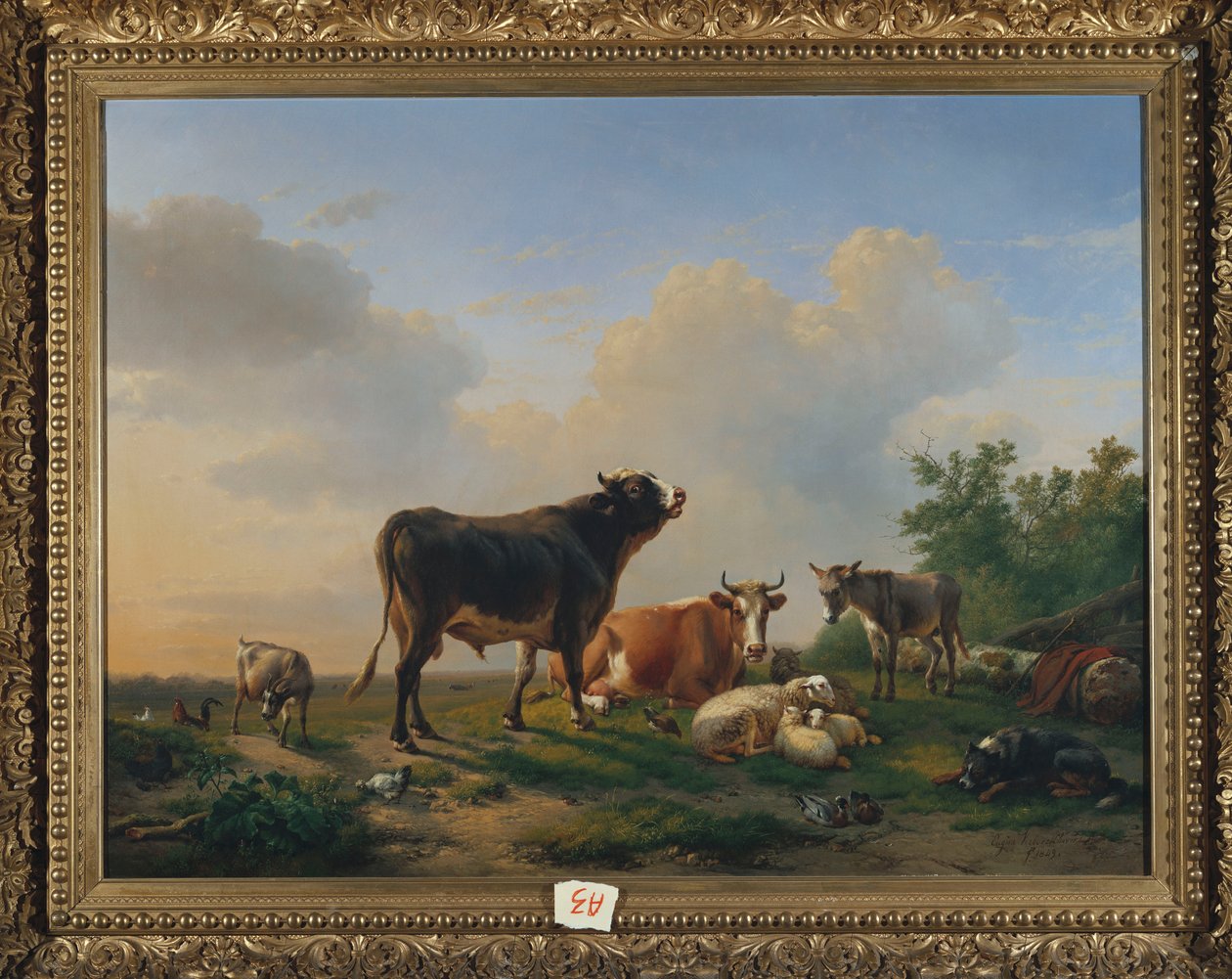 Byk, krowa, osioł, koza, owca i drób w rozległym krajobrazie, 1849 autorstwa Eugene Joseph Verboeckhoven