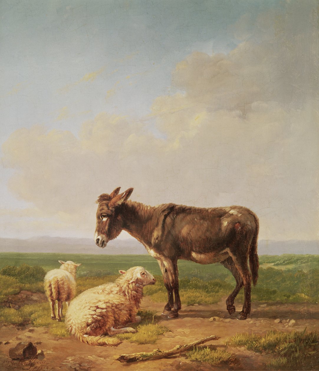Osioł i Owca, 1849 (olej) autorstwa Eugene Joseph Verboeckhoven