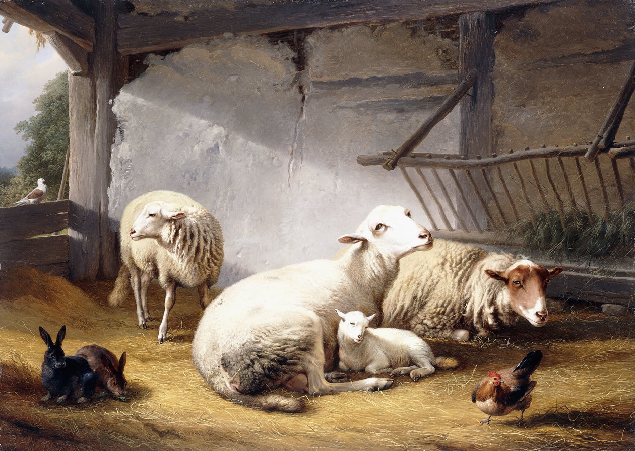 Owce, króliki i kurczak w stodole, 1859 autorstwa Eugene Joseph Verboeckhoven