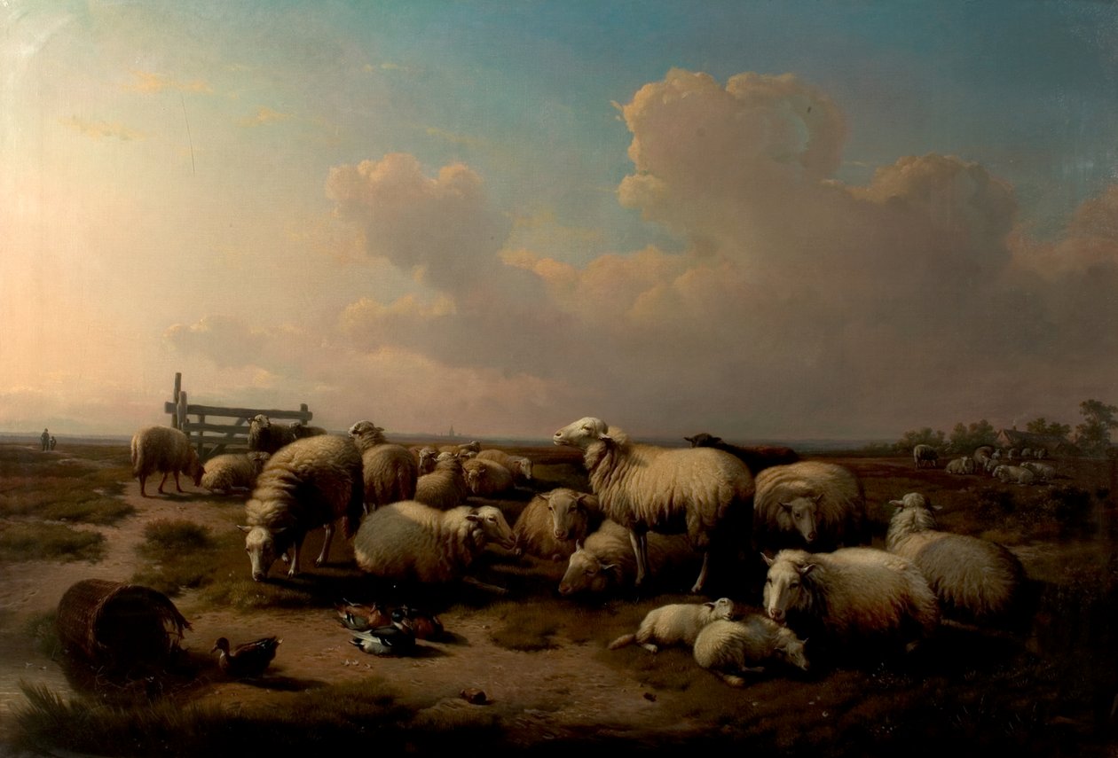 Owca autorstwa Eugene Joseph Verboeckhoven