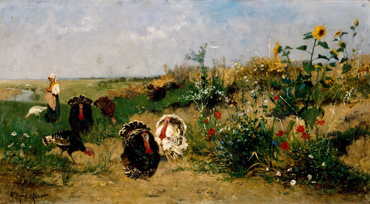 Indyki autorstwa Eugenio Spreafico