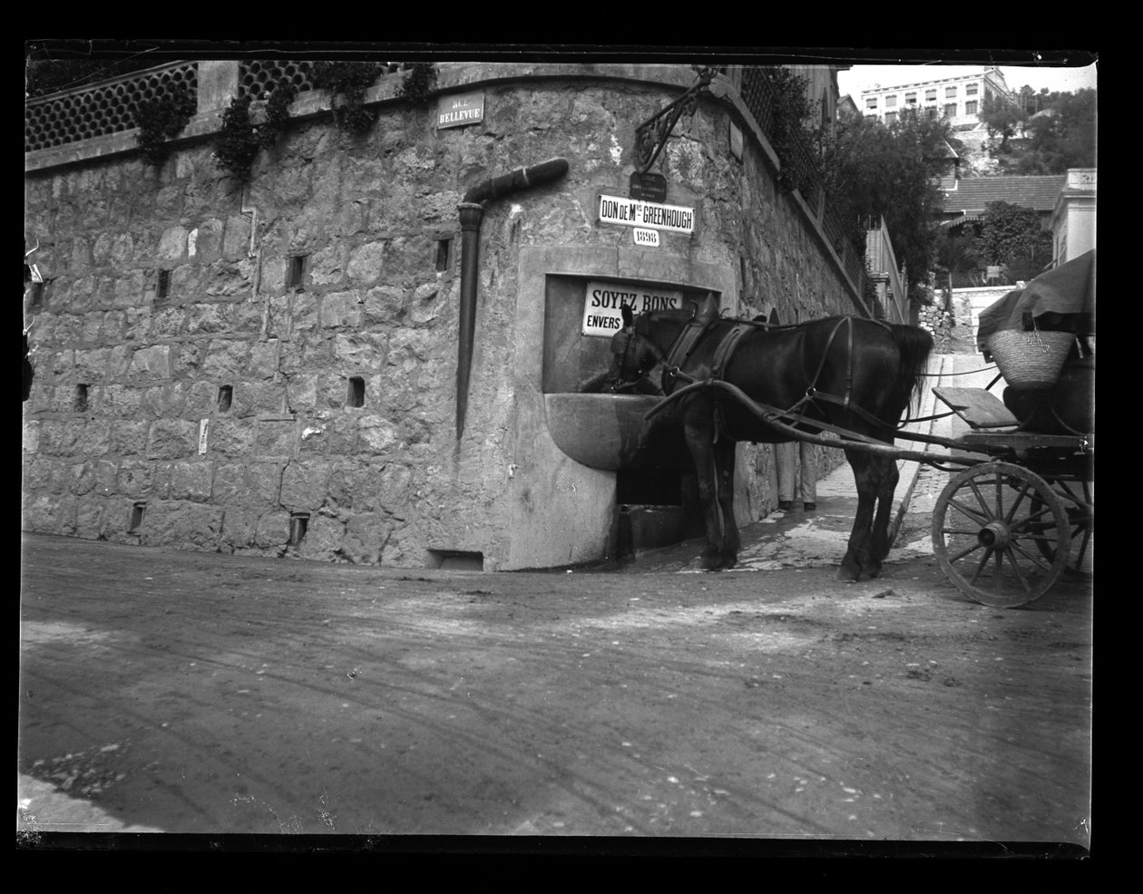 Monte Carlo autorstwa Eugène Trutat