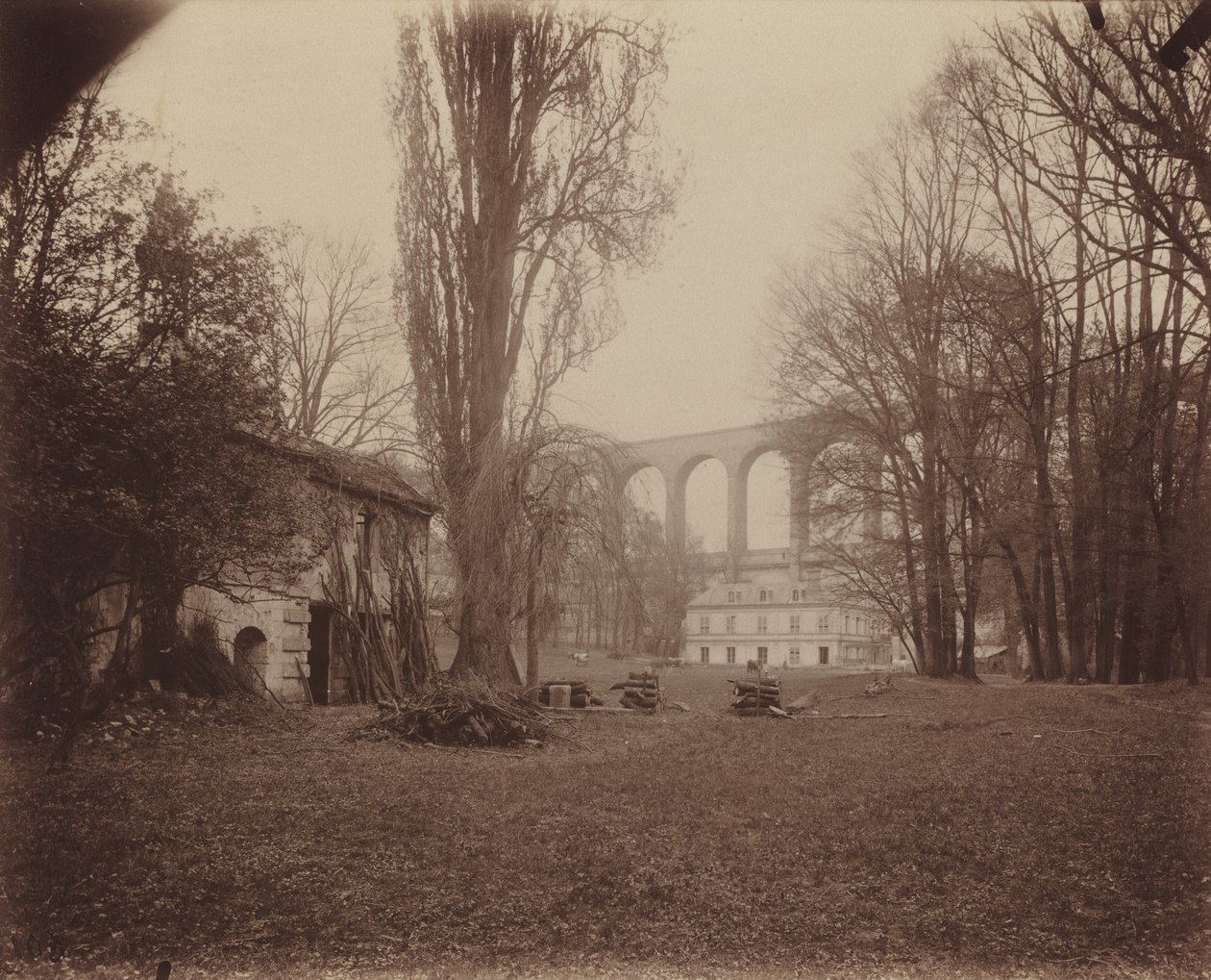 Arcueil-Cachan, Park Madame de Provigny autorstwa Eugène Atget