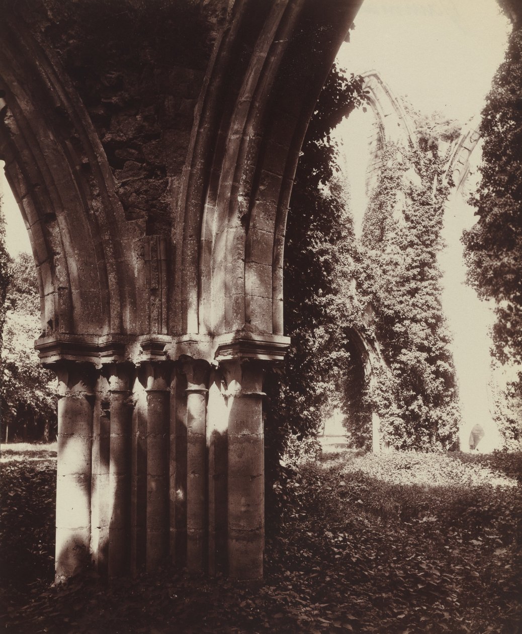 Dammarie-les-Lys, ruiny autorstwa Eugène Atget