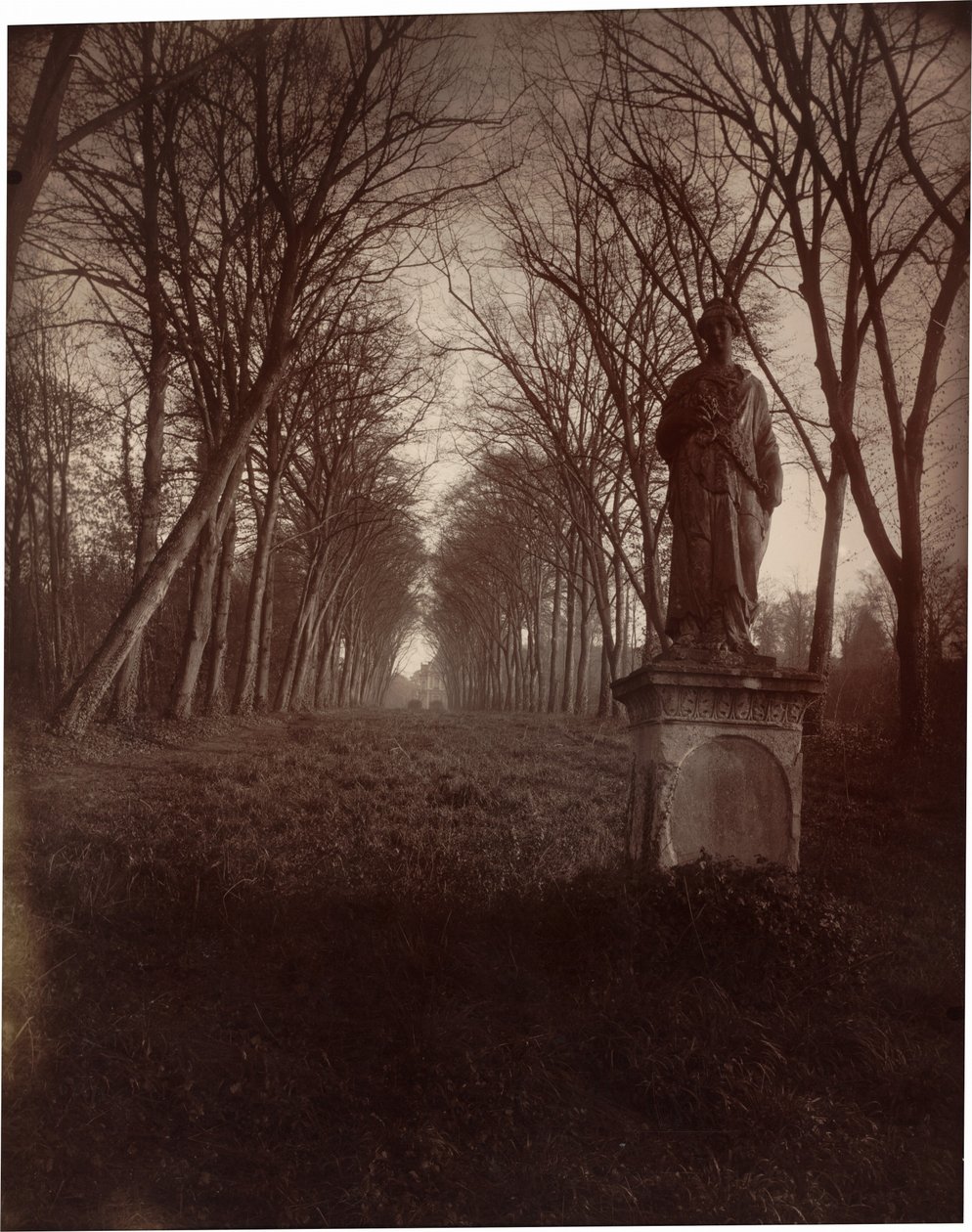 Park Sceaux autorstwa Eugène Atget