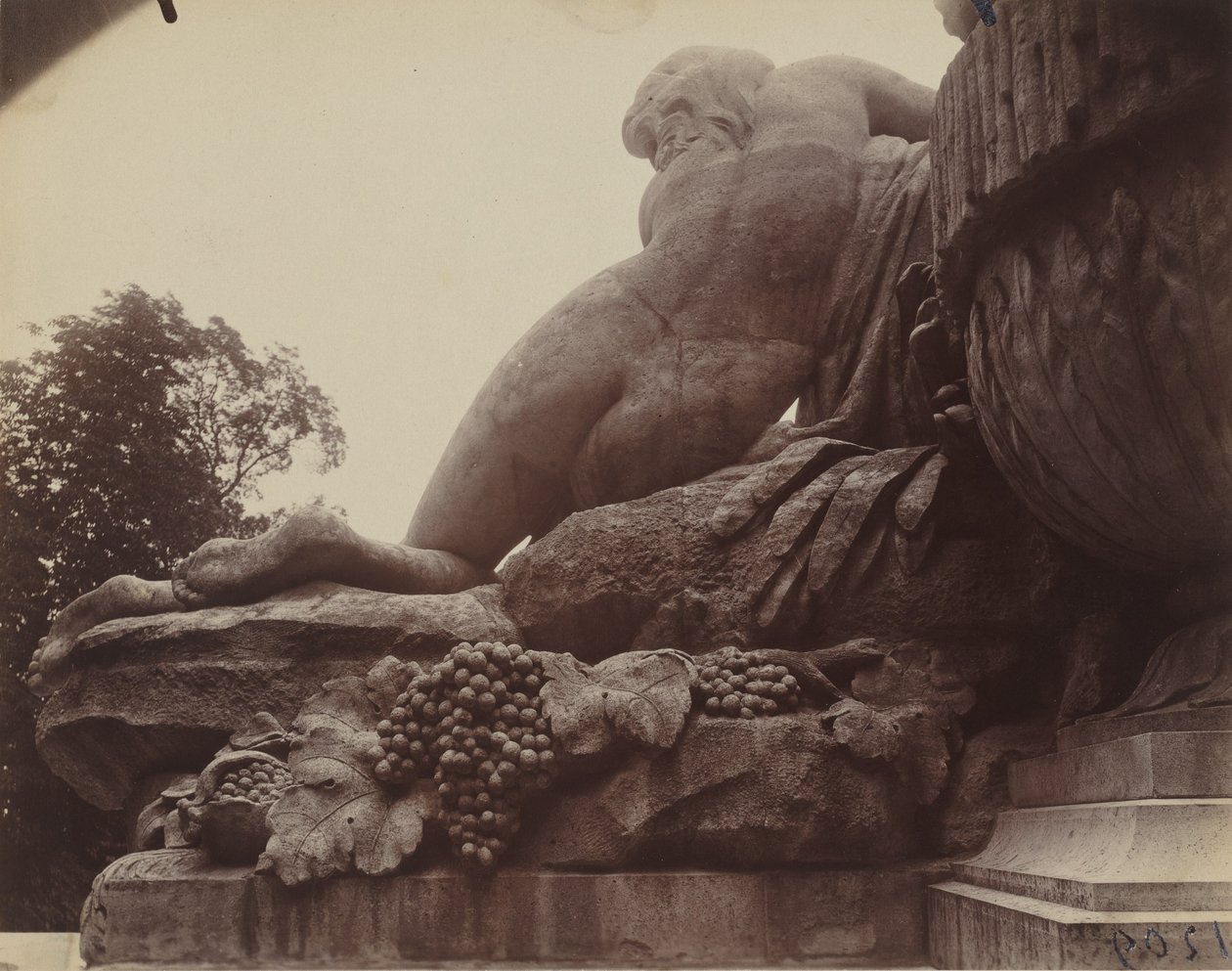 Saint-Cloud, 1923 (zdjęcie) autorstwa Eugène Atget