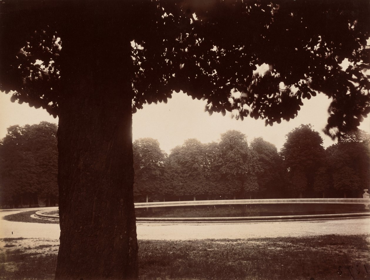 Saint-Cloud, 1926 (zdjęcie) autorstwa Eugène Atget