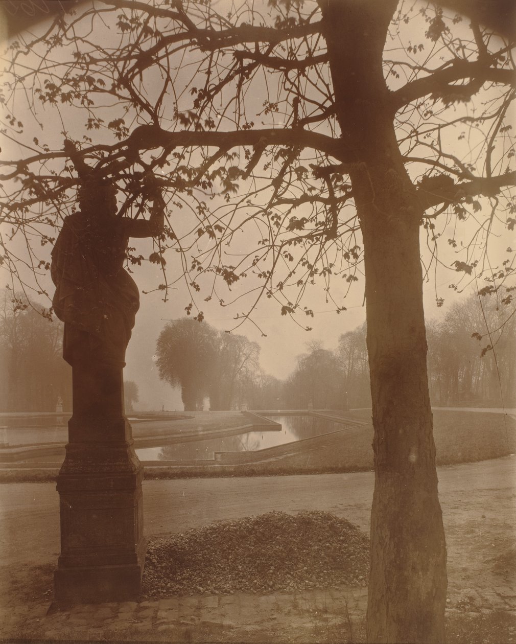 Saint-Cloud autorstwa Eugène Atget
