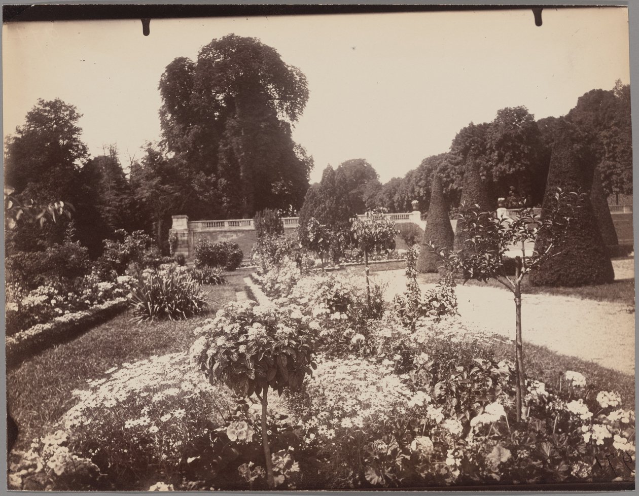 Saint-Cloud autorstwa Eugène Atget