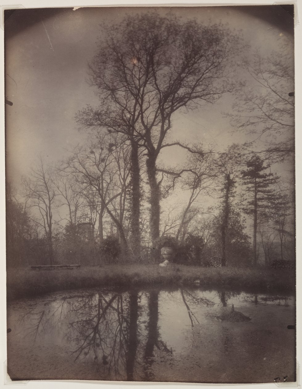 Park w Sceaux [kwiecień 1925, godz. 7.00] autorstwa Eugène Atget
