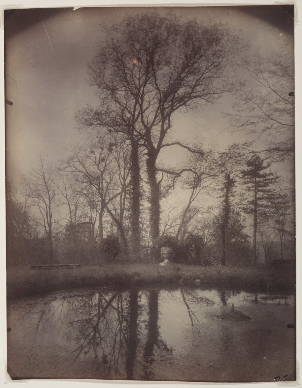 Park w Sceaux [kwiecień 1925, godz. 7.00], 1925. autorstwa Eugène Atget