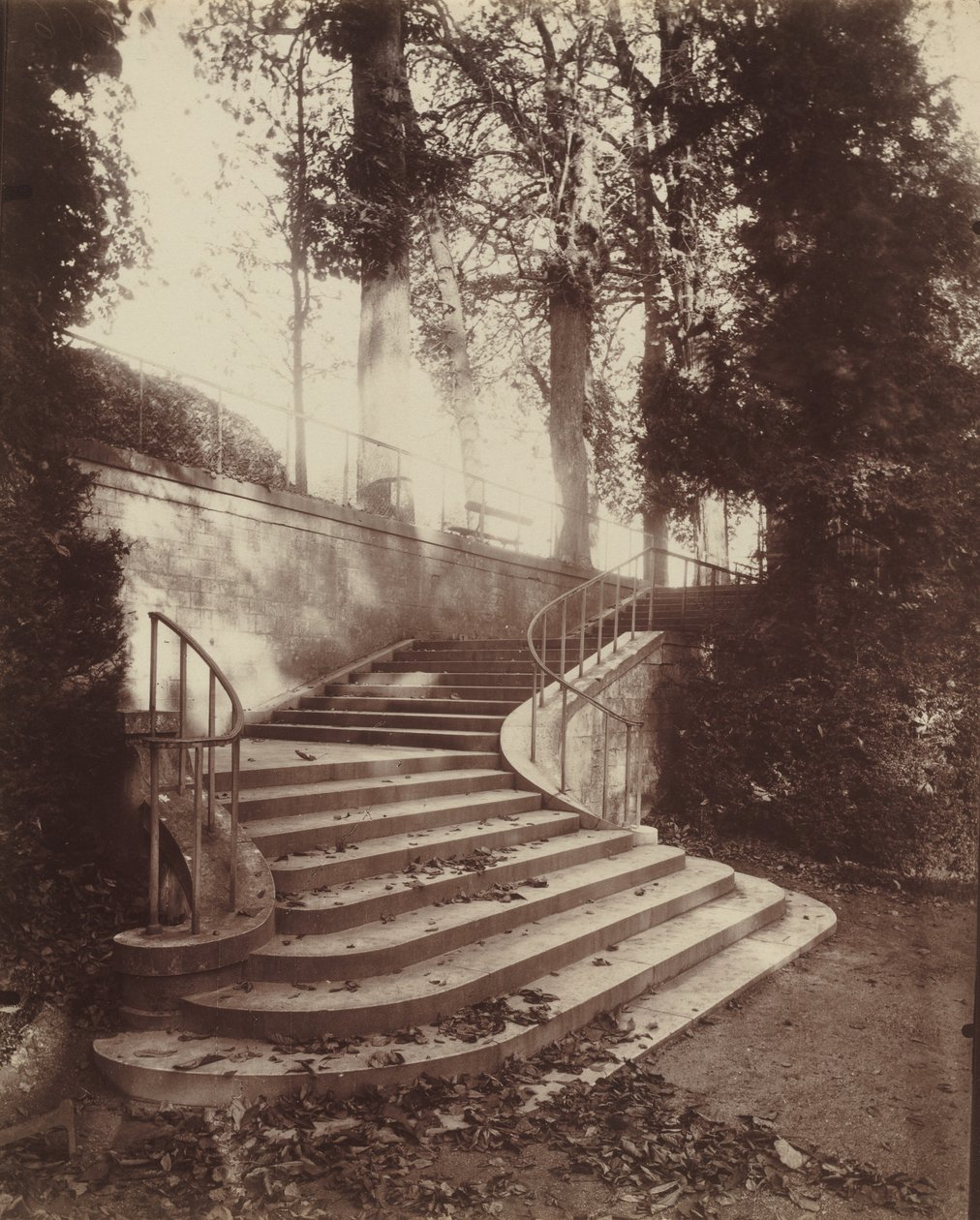 Schody w Saint-Cloud autorstwa Eugène Atget