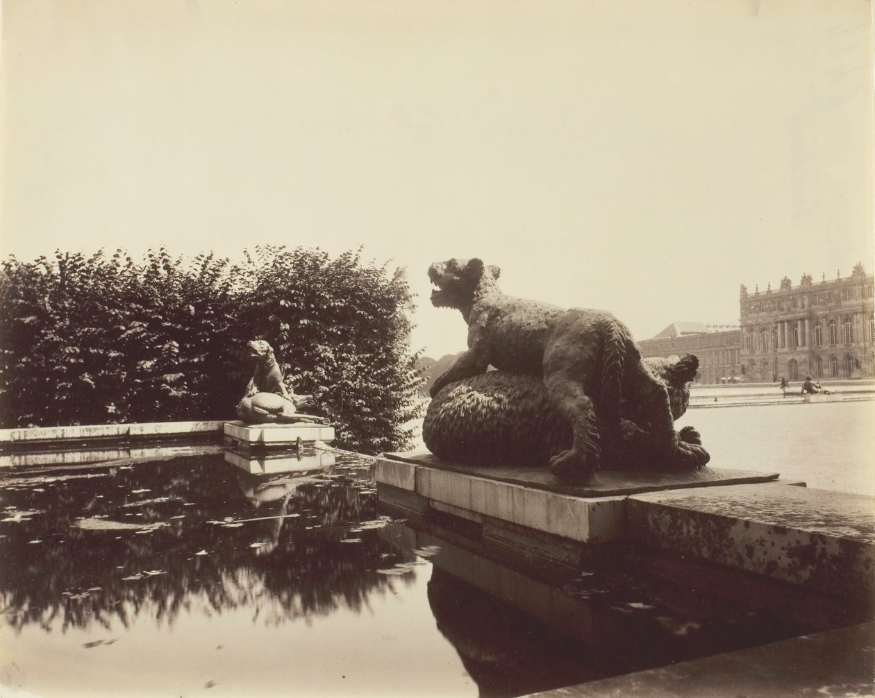 Wersal, Fontaine du Point du Jour, Tygrys zabijający niedźwiedzia autorstwa Houzeau, 1903. autorstwa Eugène Atget