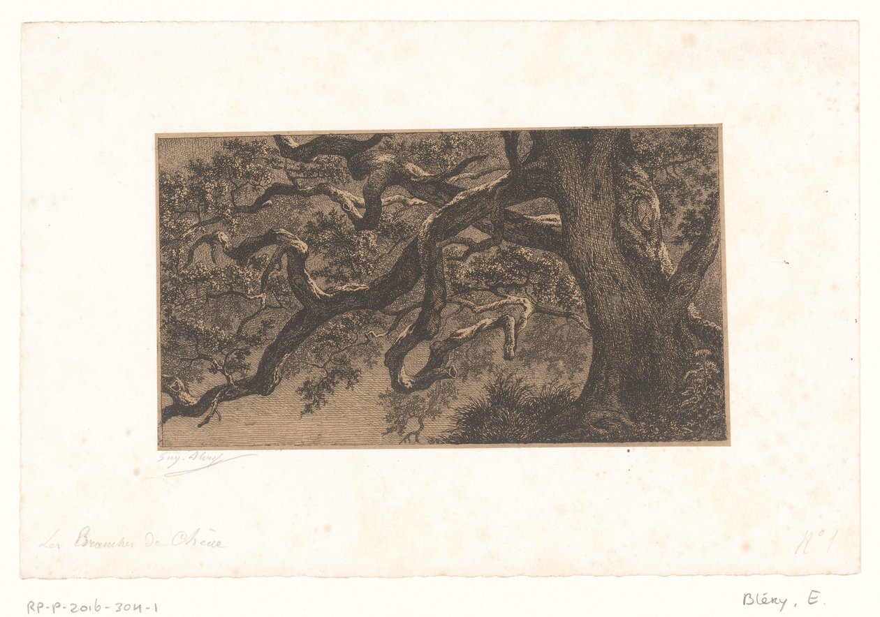 Kastanjetakken Gałęzie dębu (tytuł na obiekcie) Małe widoki na las Fontainebleau (tytuł serii) autorstwa Eugène Bléry (signed by artist)
