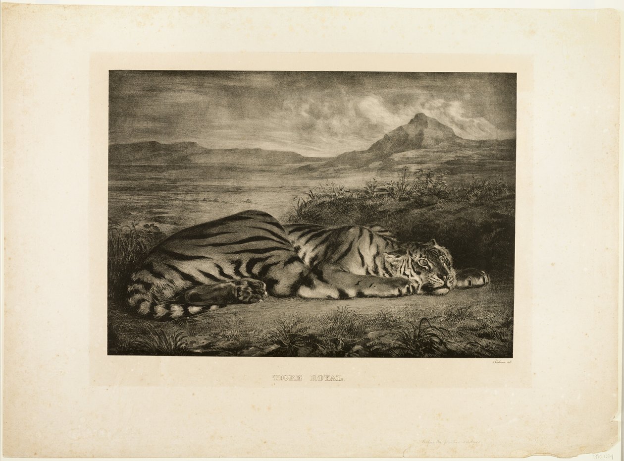 Tygrys bengalski autorstwa Eugène Delacroix