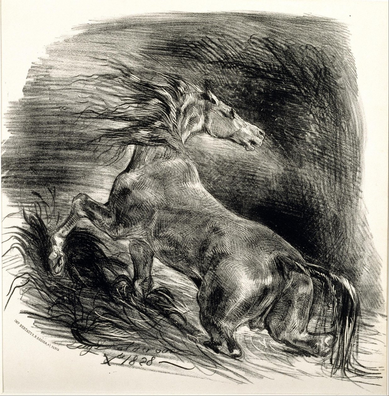 Dziki koń autorstwa Ferdinand Victor Eugene Delacroix