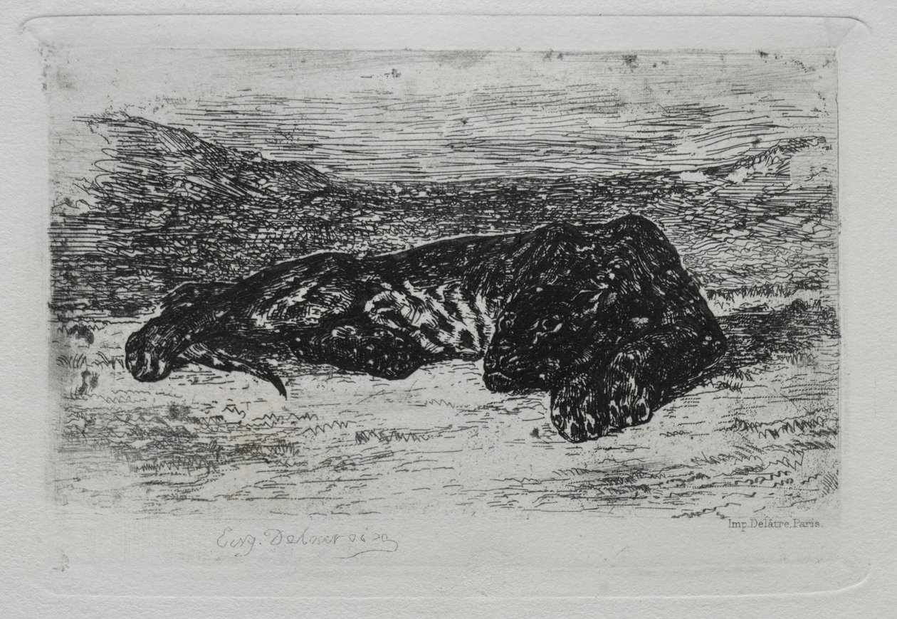 Przyczajony tygrys na pustyni autorstwa Eugène Delacroix
