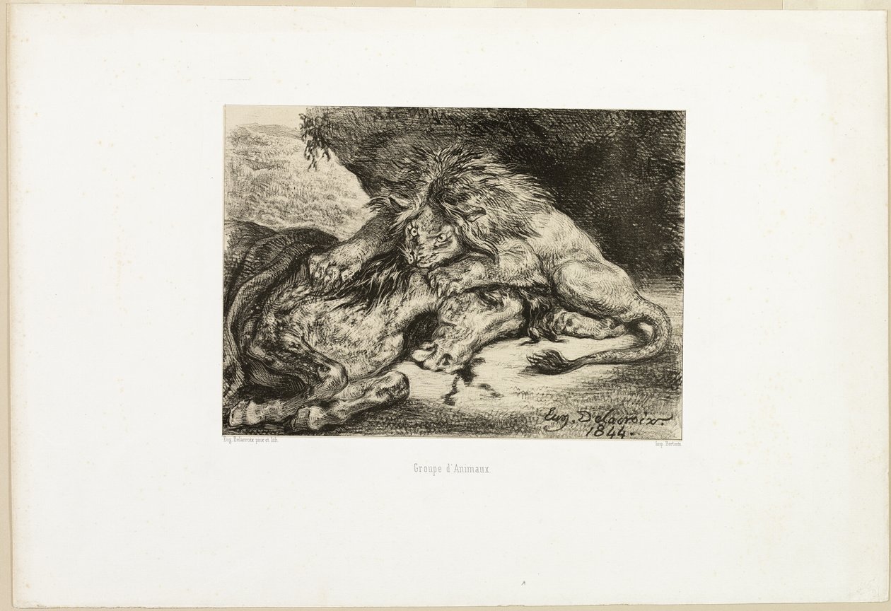 Lew pożerający konia autorstwa Eugène Delacroix