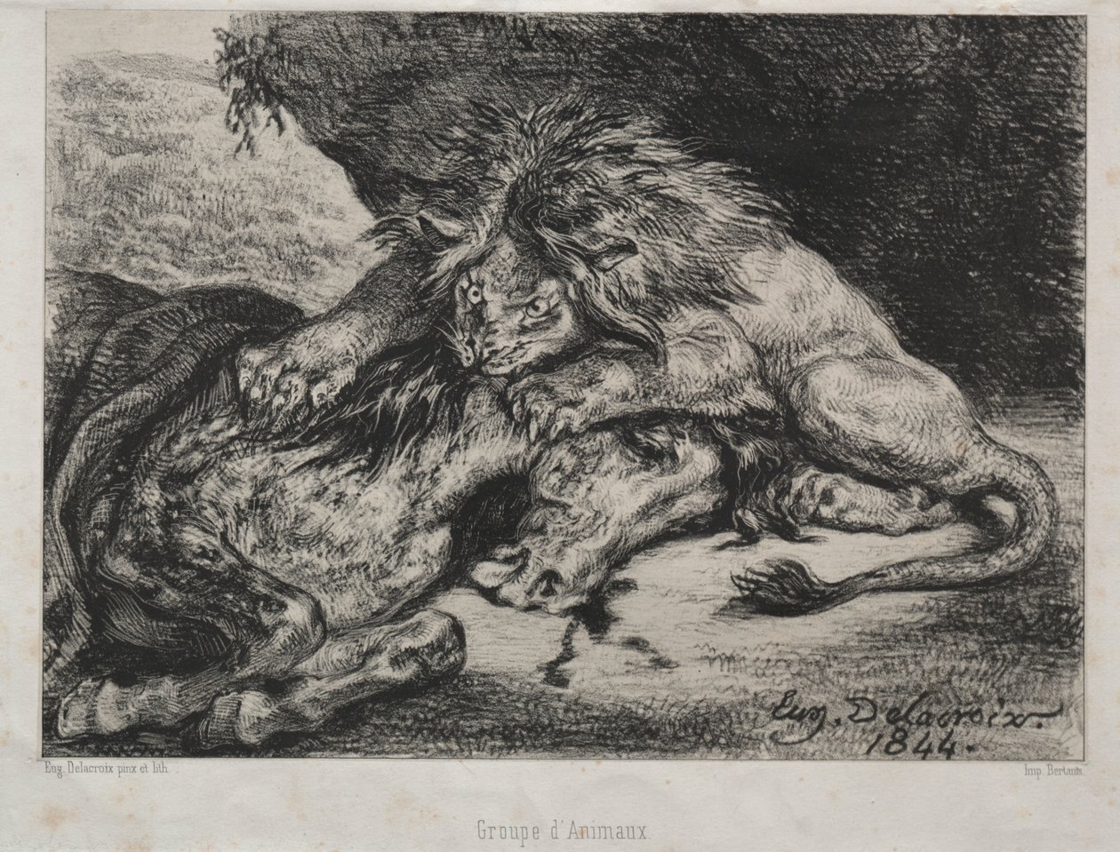 Lew pożerający konia autorstwa Eugène Delacroix