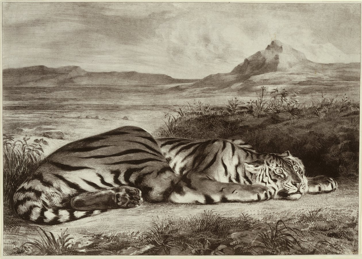 Królewski Tygrys autorstwa Eugène Delacroix