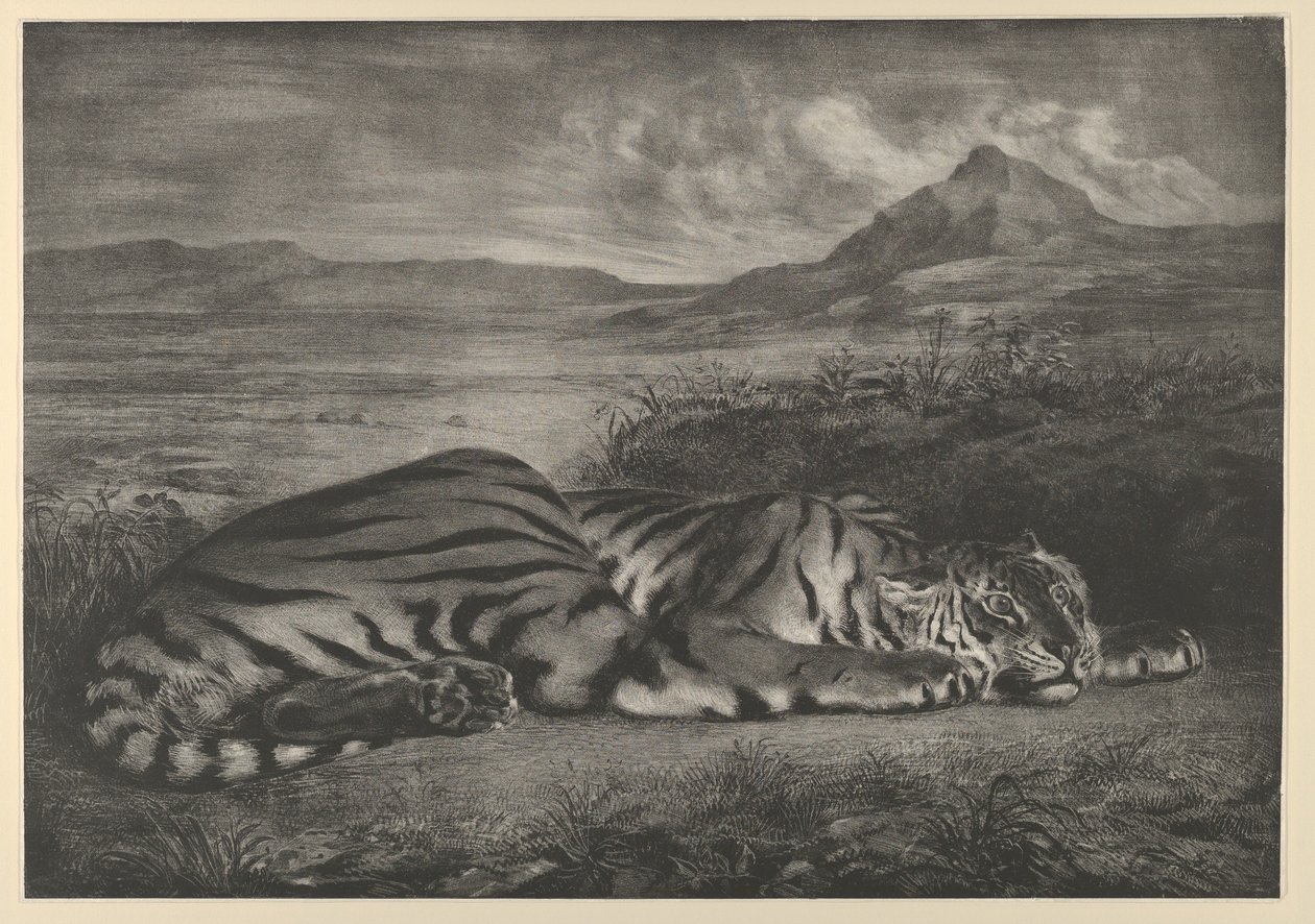 Tygrys królewski, 1829., 1829. autorstwa Eugène Delacroix