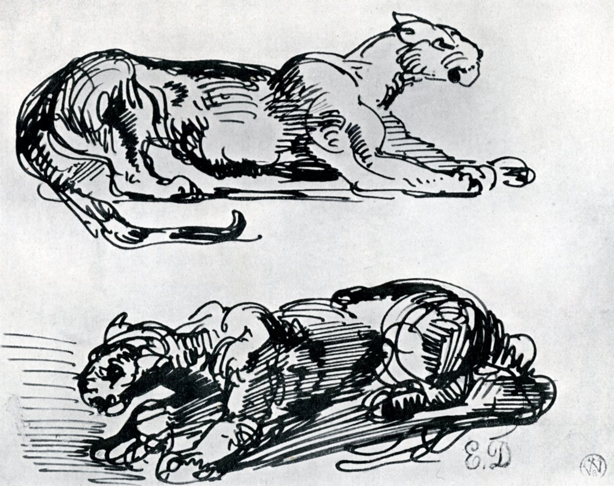 Studia Panter, 1913 autorstwa Ferdinand Victor Eugene Delacroix