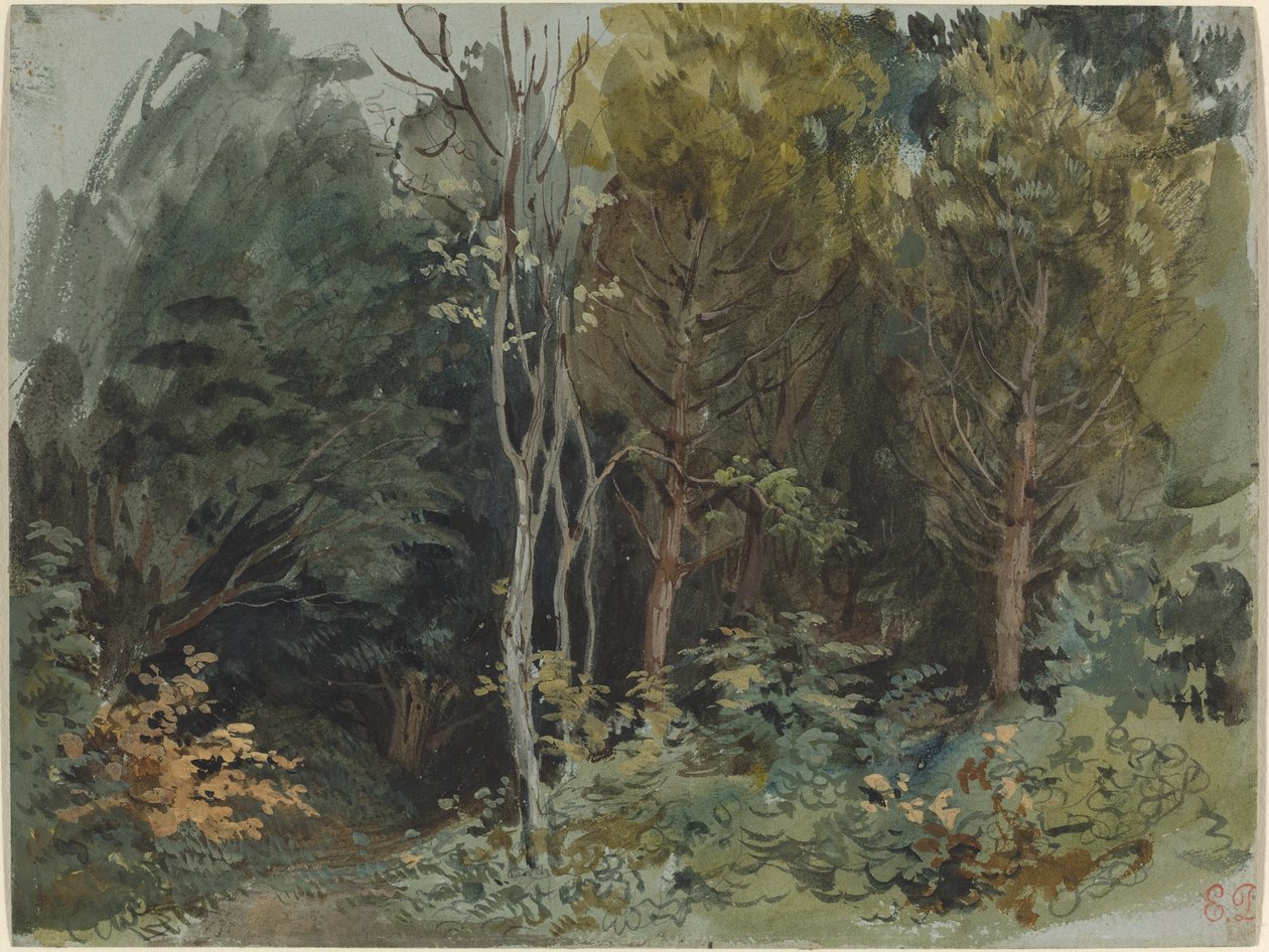 Skraj lasu w Nohant, c. 18421843. autorstwa Eugène Delacroix