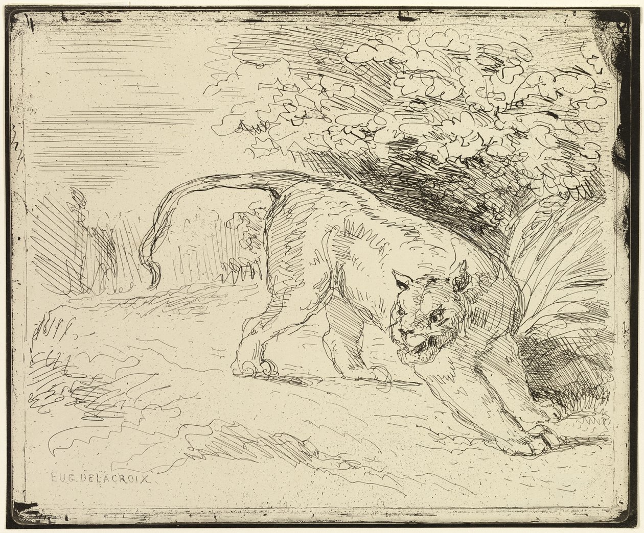 Tygrys gotowy na wiosnę autorstwa Eugène Delacroix